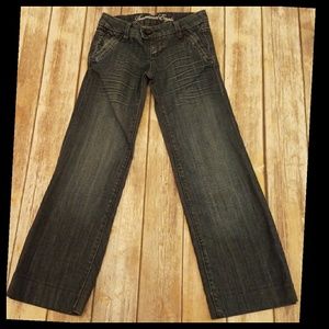 American Eagle Jeans 0 Short